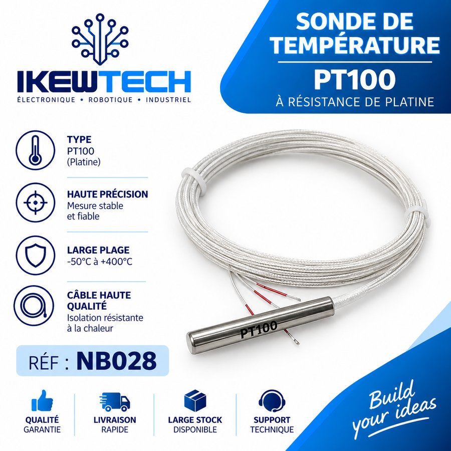 Sonde de température à résistance de platine PT100